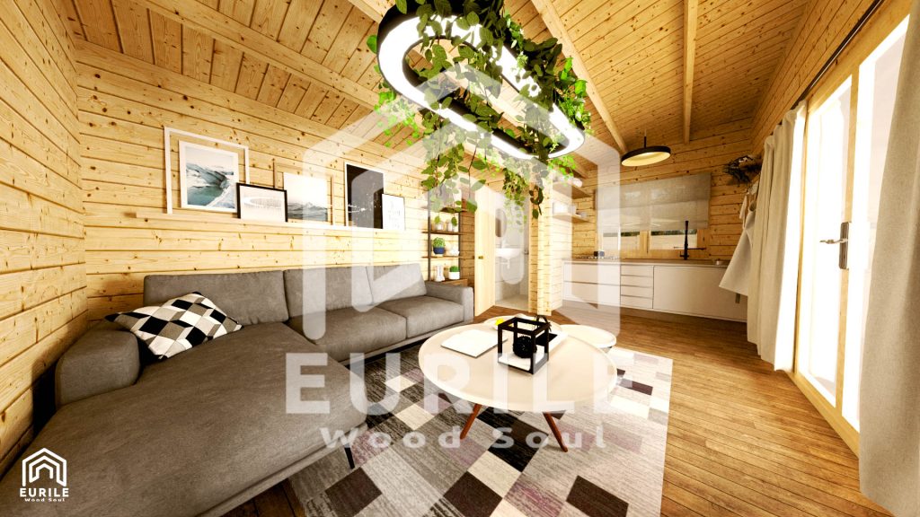1 vidus (1)